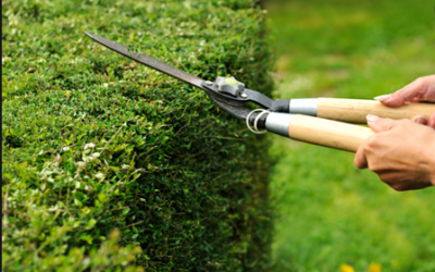 Trimming Your Budget Before You Retire