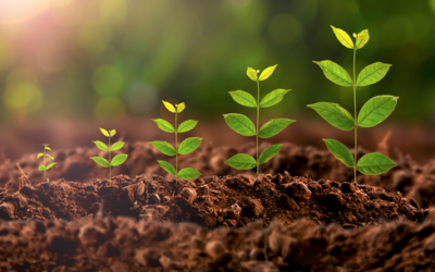 Incorporating A Business In Retirement Plans – Part 2